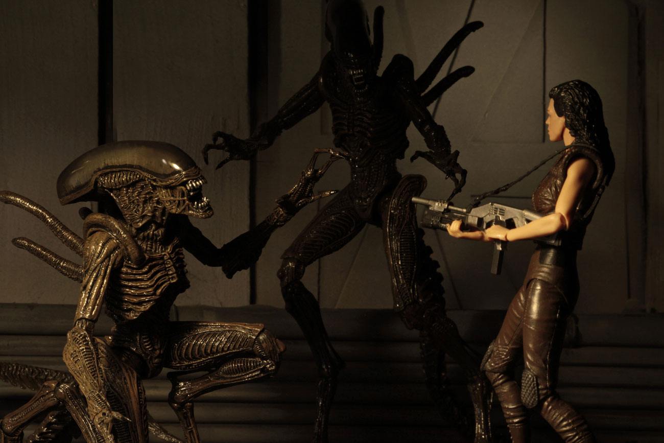 ELLEN RIPLEY CLONE 8 FIGURINE ALIENS RESURRECTION ALIENS SERIES 14 NECA 18 CM (8) 634482516539 kingdom-figurine.fr ELLEN RIPLEY CLONE 8 FIGURINE ALIENS RESURRECTION ALIENS SERIES 14 NECA 18 CM (8) 634482516539 kingdom-figurine.fr