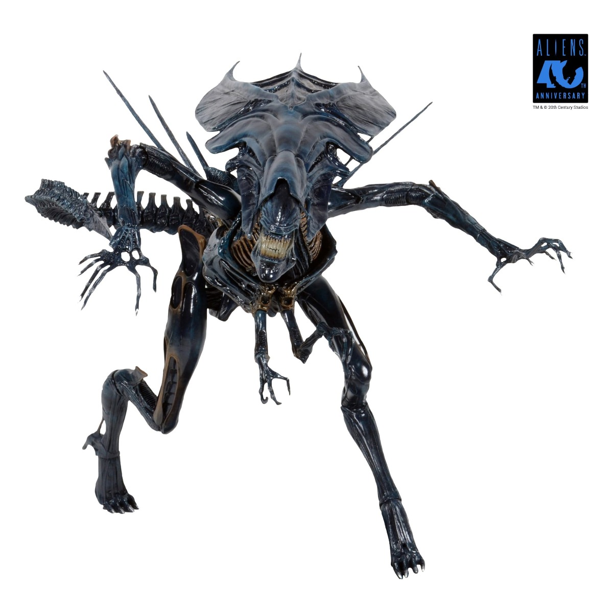 Alien Queen figurine Ultra Deluxe Aliens 1986 40th Anniversary Neca 38 cm 634482518007 kingdom-figurine (1) Alien Queen figurine Ultra Deluxe Aliens 1986 40th Anniversary Neca 38 cm 634482518007 kingdom-figurine (1)
