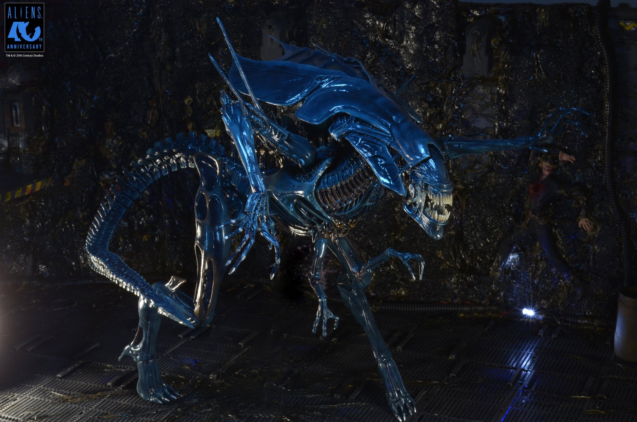 Alien Queen figurine Ultra Deluxe Aliens 1986 40th Anniversary Neca 38 cm 634482518007 kingdom-figurine (15) Alien Queen figurine Ultra Deluxe Aliens 1986 40th Anniversary Neca 38 cm 634482518007 kingdom-figurine (15)