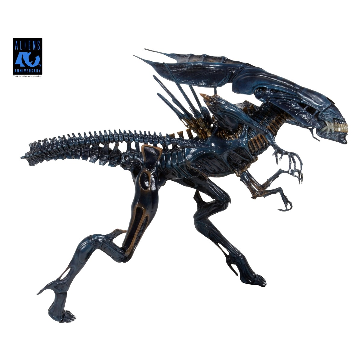 Alien Queen figurine Ultra Deluxe Aliens 1986 40th Anniversary Neca 38 cm 634482518007 kingdom-figurine (3) Alien Queen figurine Ultra Deluxe Aliens 1986 40th Anniversary Neca 38 cm 634482518007 kingdom-figurine (3)