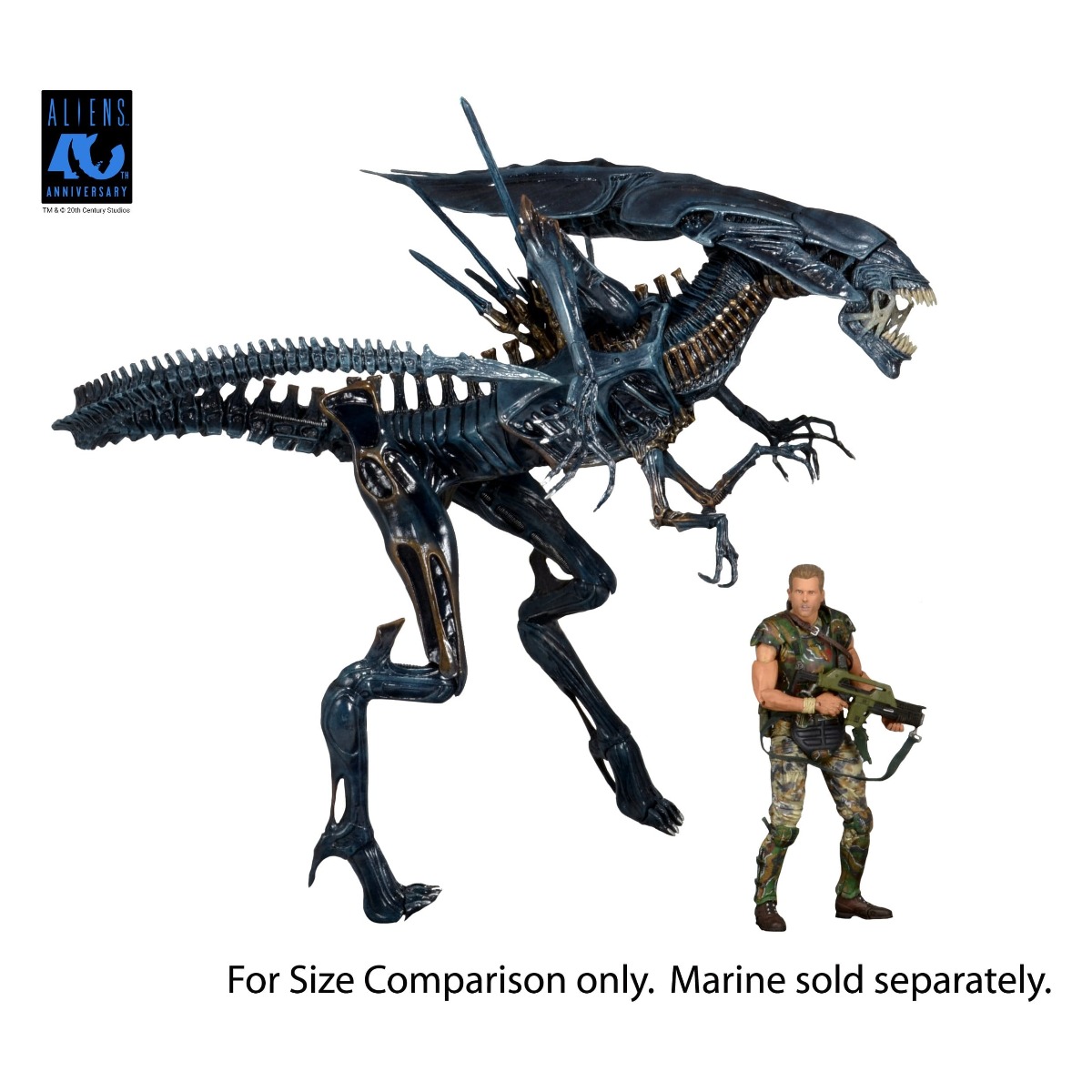 Alien Queen figurine Ultra Deluxe Aliens 1986 40th Anniversary Neca 38 cm 634482518007 kingdom-figurine (4) Alien Queen figurine Ultra Deluxe Aliens 1986 40th Anniversary Neca 38 cm 634482518007 kingdom-figurine (4)