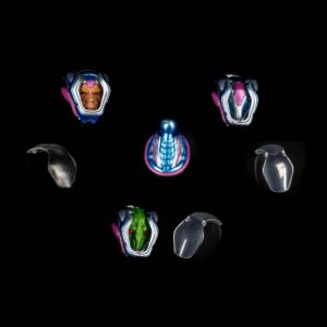 Cosmic Character Pack accessoires pour figurines Opor-a-Tiv83 Upgrade Set Four Horsemen FHTD-POTIVSET kingdom-figurine (1) Cosmic Character Pack accessoires pour figurines Opor-a-Tiv83 Upgrade Set Four Horsemen FHTD-POTIVSET kingdom-figurine (1)
