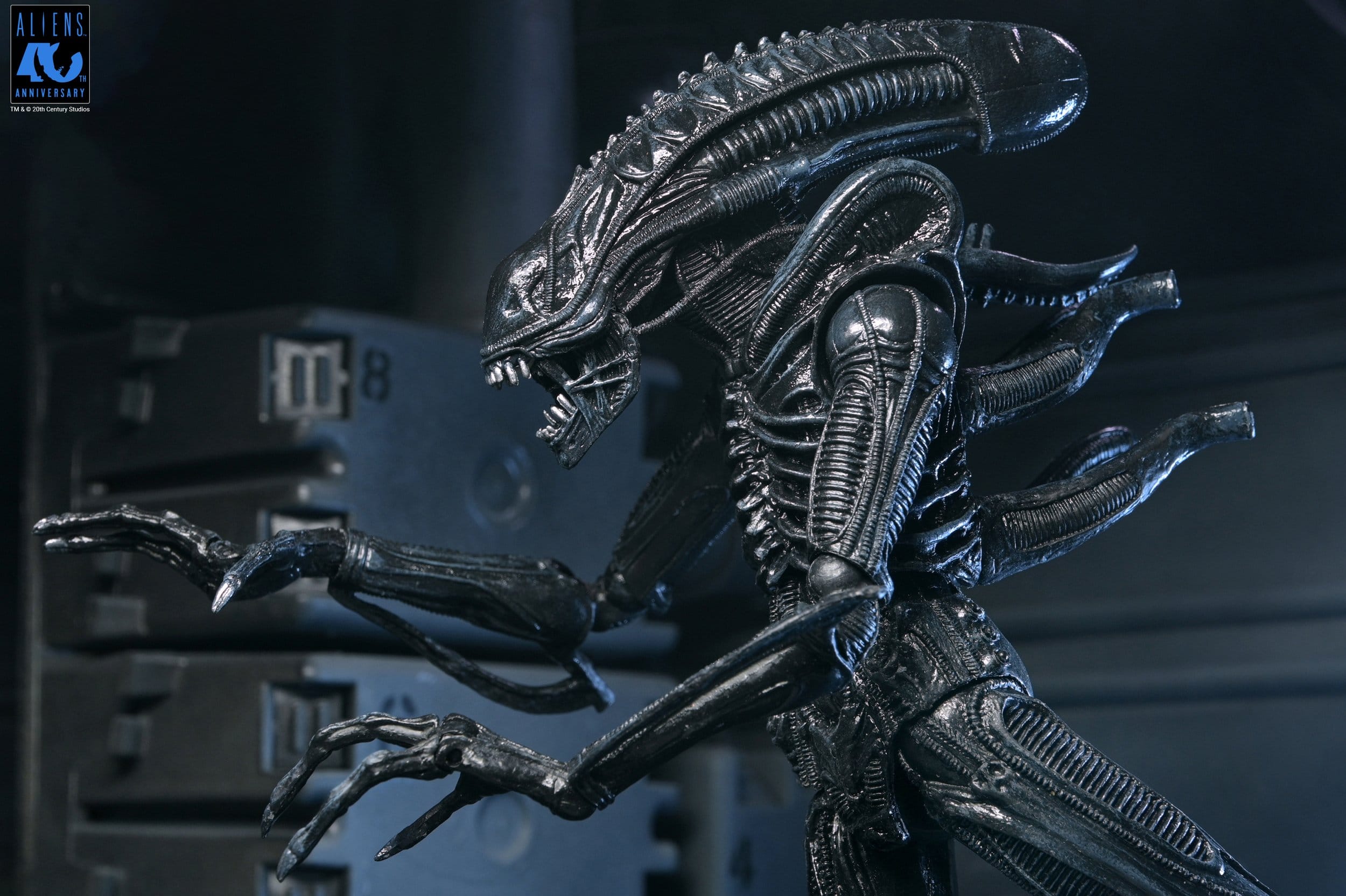 Xenomorph Warrior Black Ultimate figurine Aliens 1986 Neca 23 cm 634482517963 kingdom-figurine (12) Xenomorph Warrior Black Ultimate figurine Aliens 1986 Neca 23 cm 634482517963 kingdom-figurine (12)