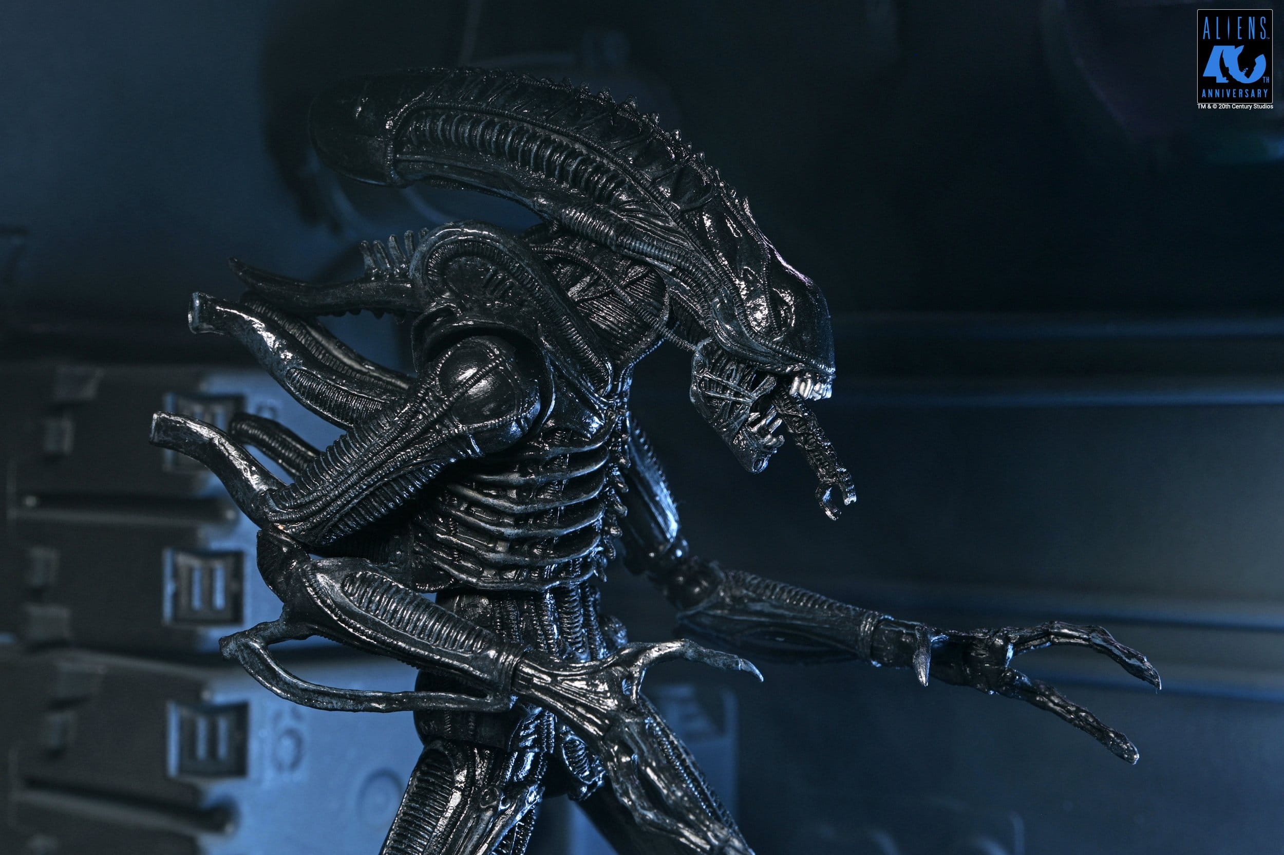 Xenomorph Warrior Black Ultimate figurine Aliens 1986 Neca 23 cm 634482517963 kingdom-figurine (13) Xenomorph Warrior Black Ultimate figurine Aliens 1986 Neca 23 cm 634482517963 kingdom-figurine (13)