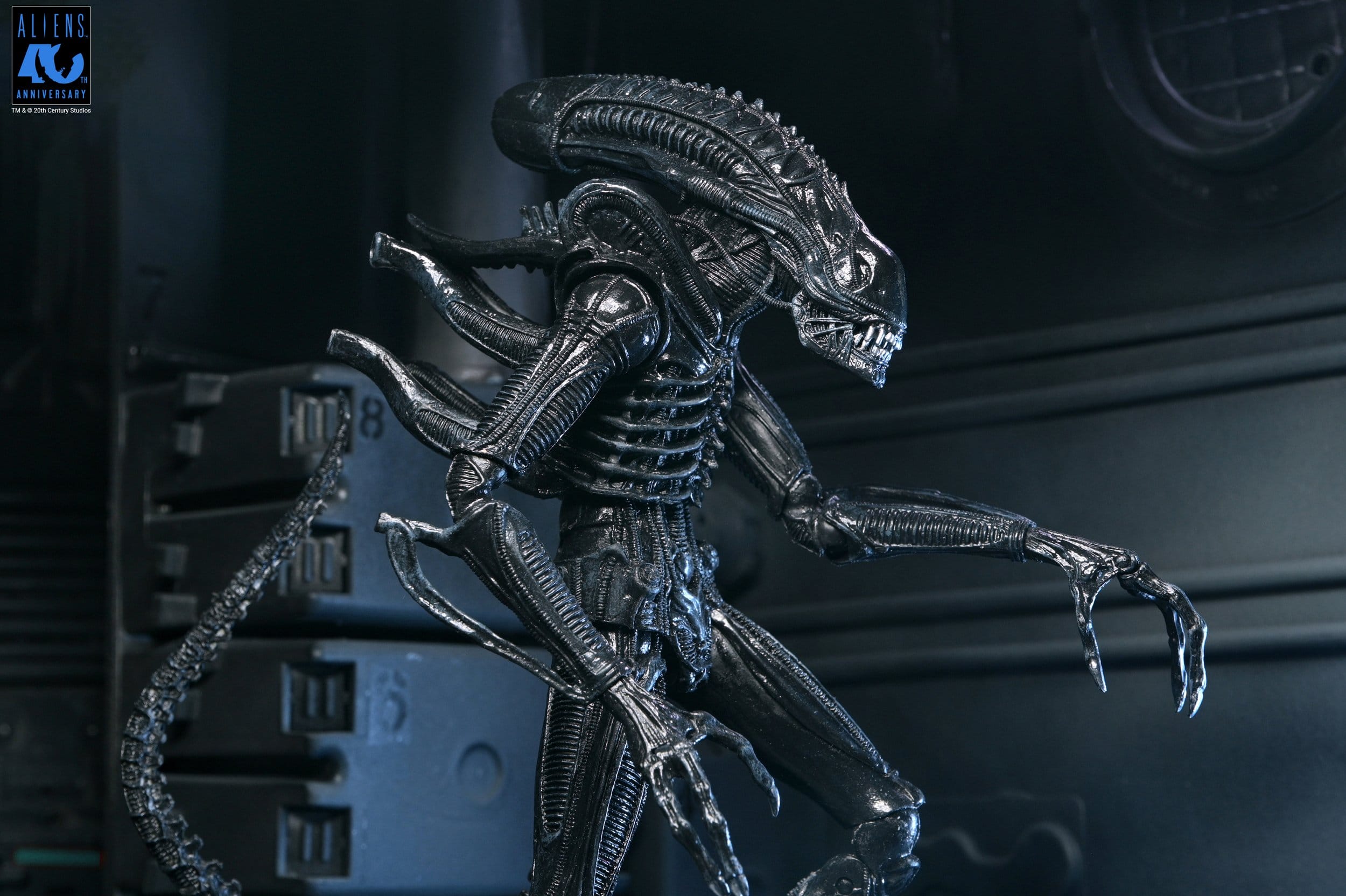 Xenomorph Warrior Black Ultimate figurine Aliens 1986 Neca 23 cm 634482517963 kingdom-figurine (14) Xenomorph Warrior Black Ultimate figurine Aliens 1986 Neca 23 cm 634482517963 kingdom-figurine (14)