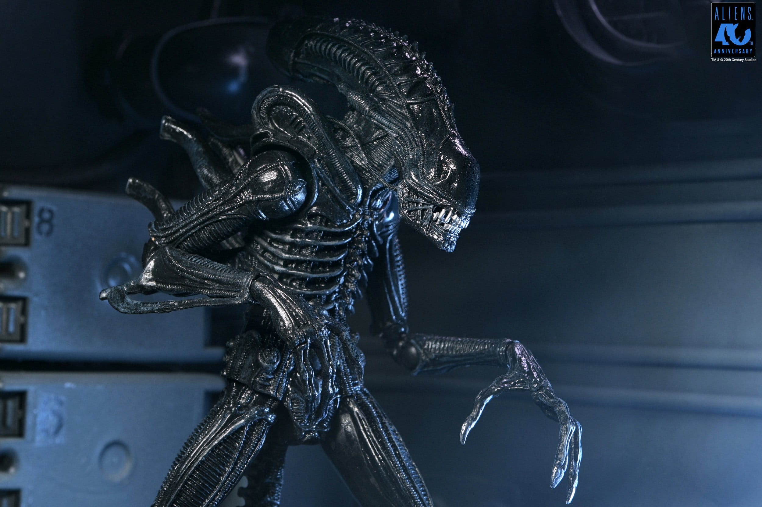 Xenomorph Warrior Black Ultimate figurine Aliens 1986 Neca 23 cm 634482517963 kingdom-figurine (15) Xenomorph Warrior Black Ultimate figurine Aliens 1986 Neca 23 cm 634482517963 kingdom-figurine (15)