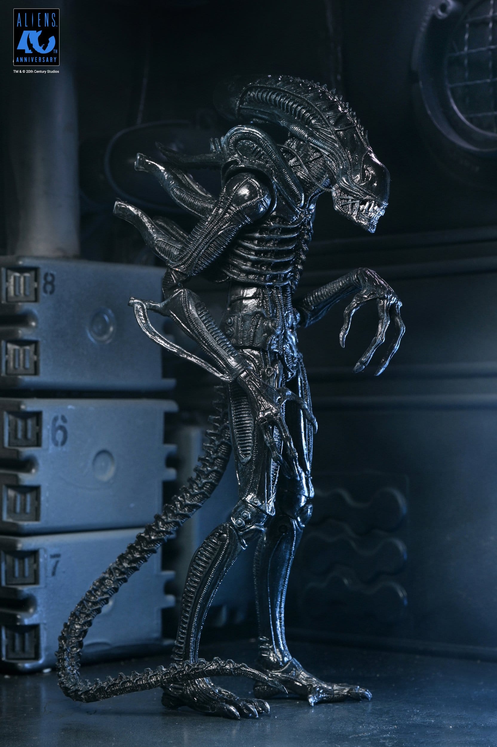 Xenomorph Warrior Black Ultimate figurine Aliens 1986 Neca 23 cm 634482517963 kingdom-figurine (17) Xenomorph Warrior Black Ultimate figurine Aliens 1986 Neca 23 cm 634482517963 kingdom-figurine (17)