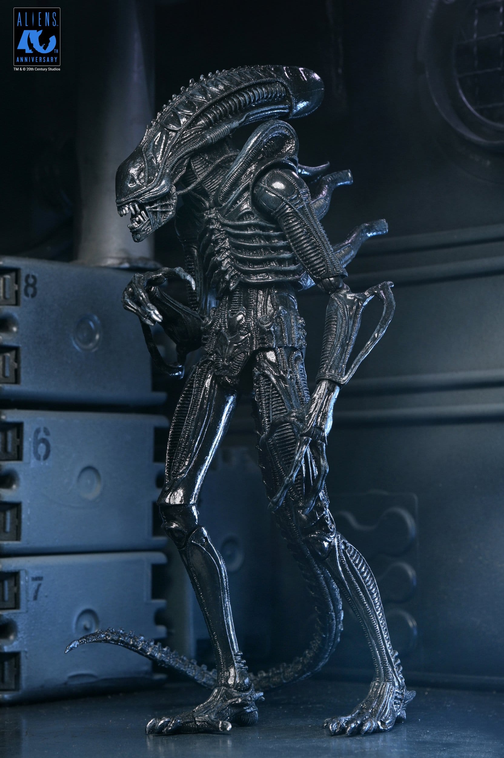Xenomorph Warrior Black Ultimate figurine Aliens 1986 Neca 23 cm 634482517963 kingdom-figurine (19) Xenomorph Warrior Black Ultimate figurine Aliens 1986 Neca 23 cm 634482517963 kingdom-figurine (19)