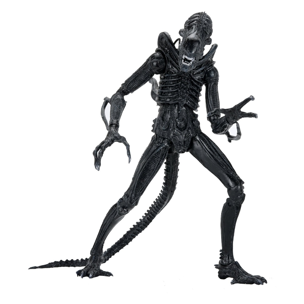 Xenomorph Warrior Black Ultimate figurine Aliens 1986 Neca 23 cm 634482517963 kingdom-figurine (2) Xenomorph Warrior Black Ultimate figurine Aliens 1986 Neca 23 cm 634482517963 kingdom-figurine (2)