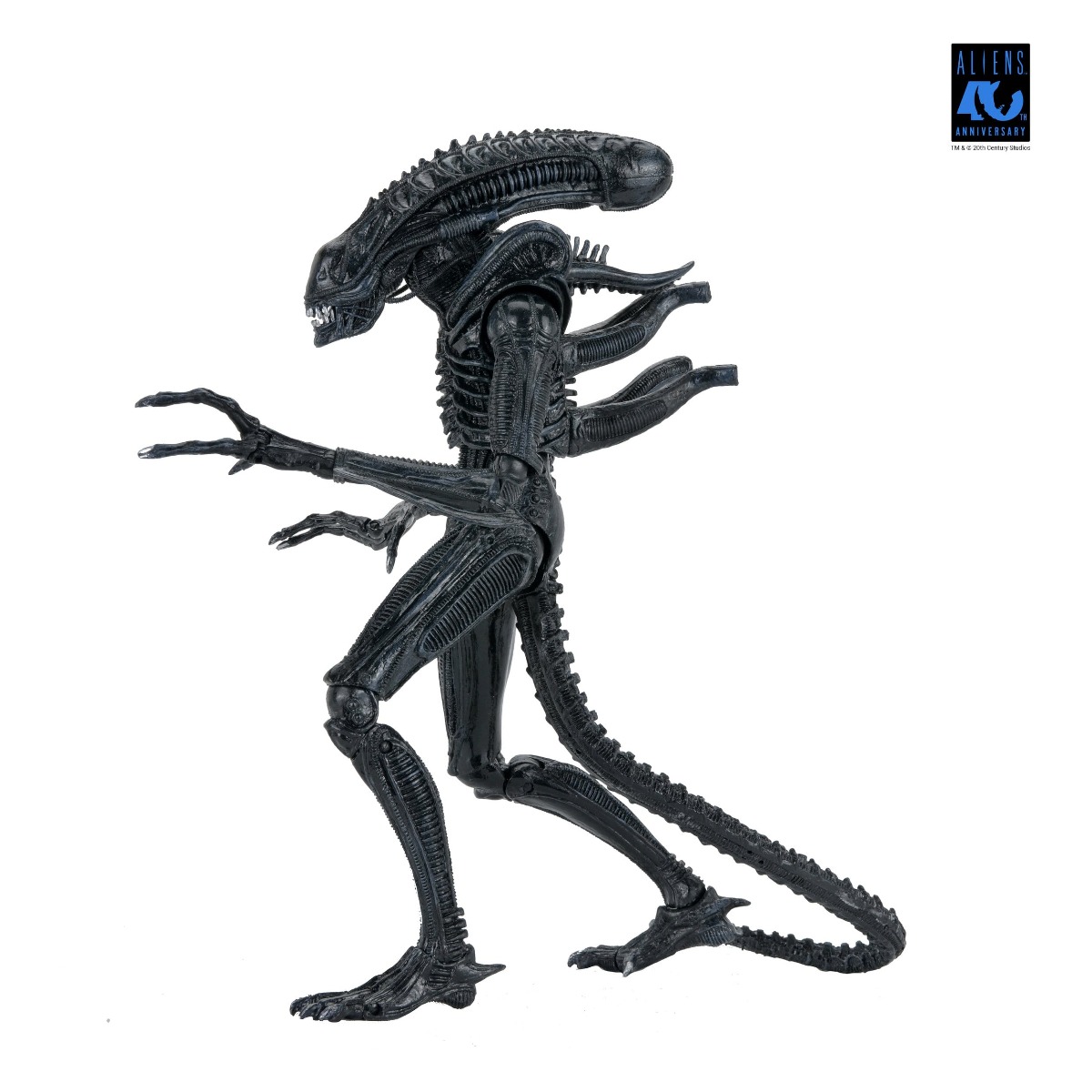 Xenomorph Warrior Black Ultimate figurine Aliens 1986 Neca 23 cm 634482517963 kingdom-figurine (3) Xenomorph Warrior Black Ultimate figurine Aliens 1986 Neca 23 cm 634482517963 kingdom-figurine (3)
