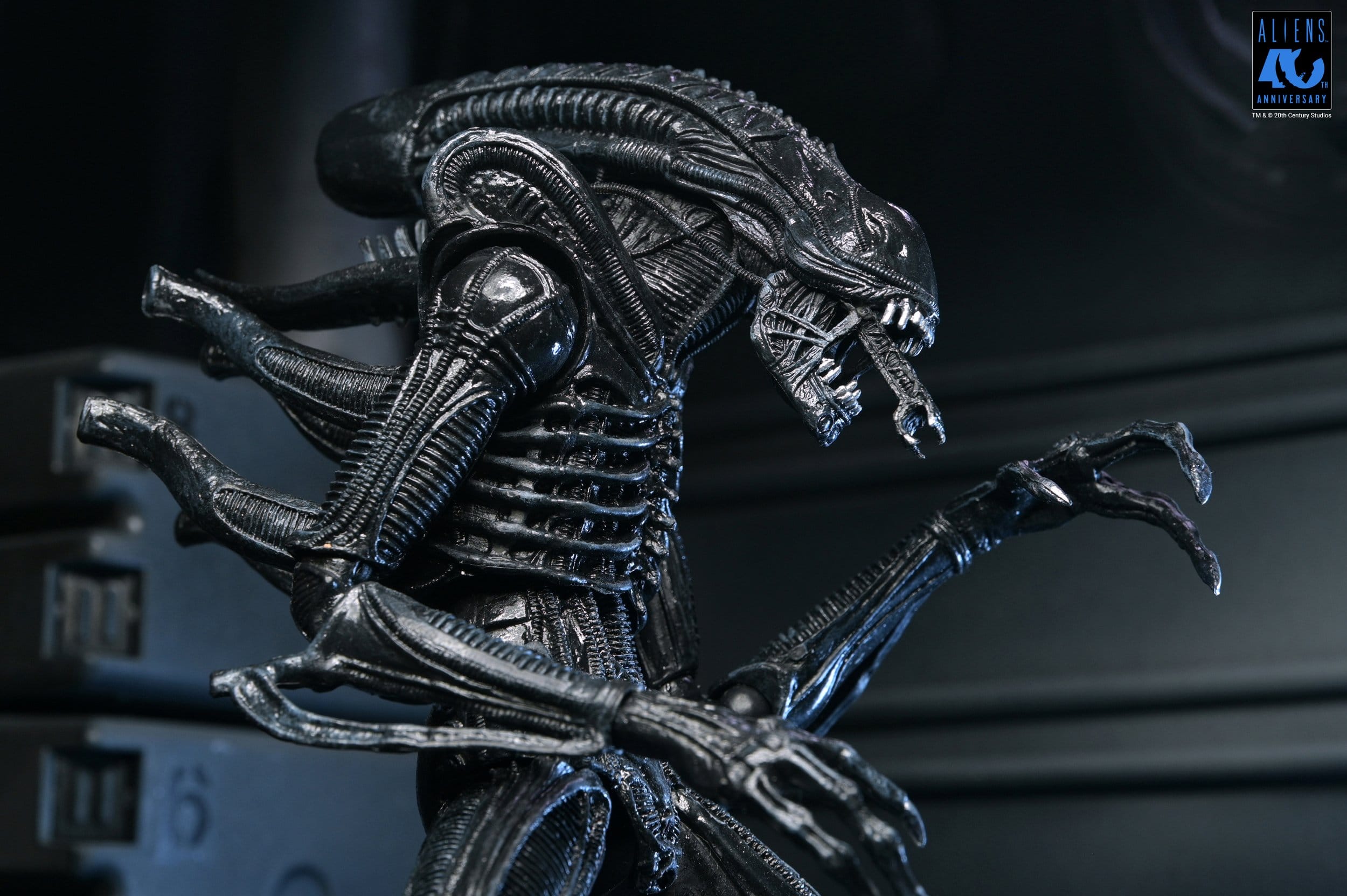Xenomorph Warrior Black Ultimate figurine Aliens 1986 Neca 23 cm 634482517963 kingdom-figurine (5) Xenomorph Warrior Black Ultimate figurine Aliens 1986 Neca 23 cm 634482517963 kingdom-figurine (5)
