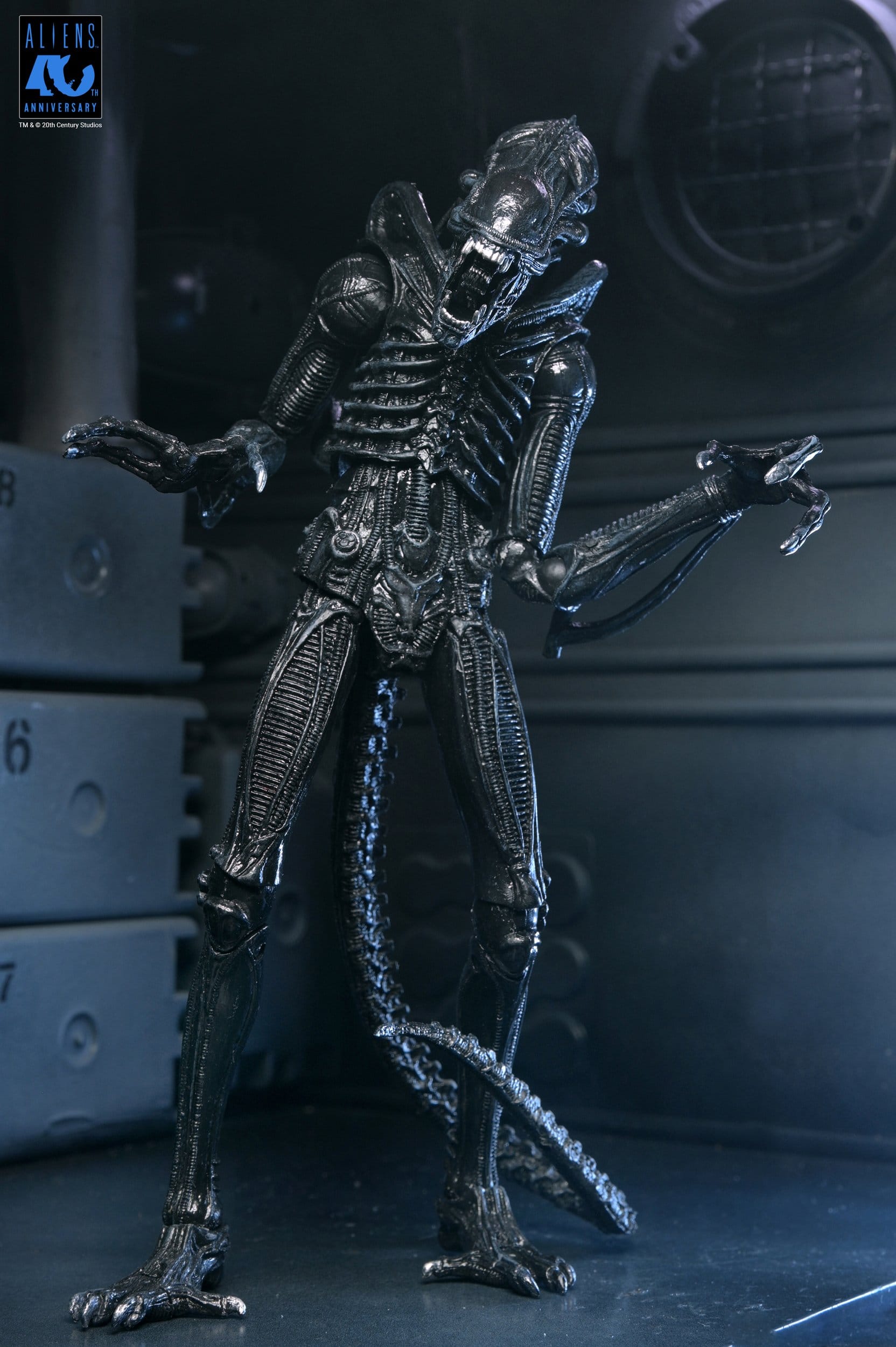 Xenomorph Warrior Black Ultimate figurine Aliens 1986 Neca 23 cm 634482517963 kingdom-figurine (6) Xenomorph Warrior Black Ultimate figurine Aliens 1986 Neca 23 cm 634482517963 kingdom-figurine (6)
