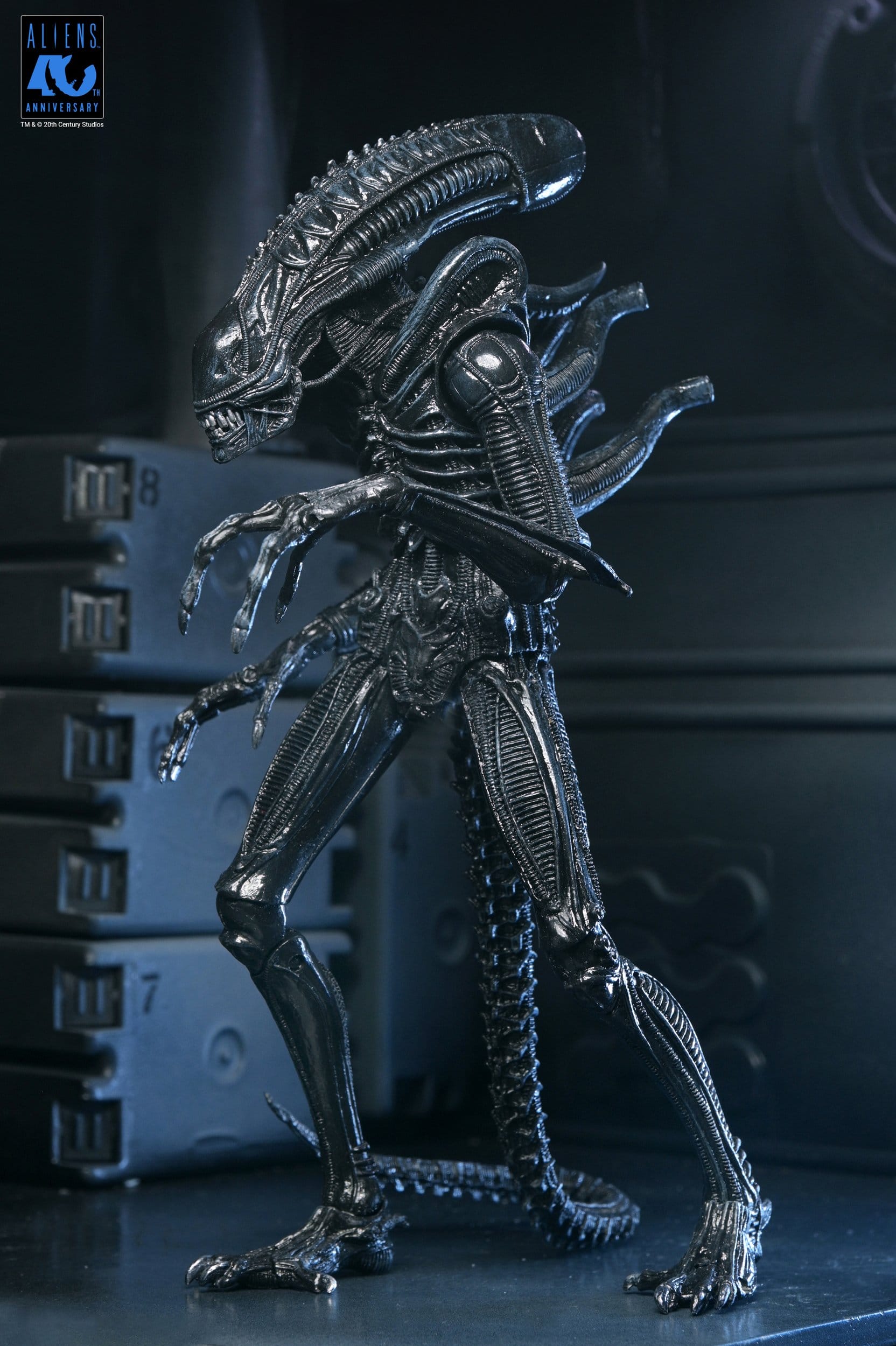 Xenomorph Warrior Black Ultimate figurine Aliens 1986 Neca 23 cm 634482517963 kingdom-figurine (7) Xenomorph Warrior Black Ultimate figurine Aliens 1986 Neca 23 cm 634482517963 kingdom-figurine (7)