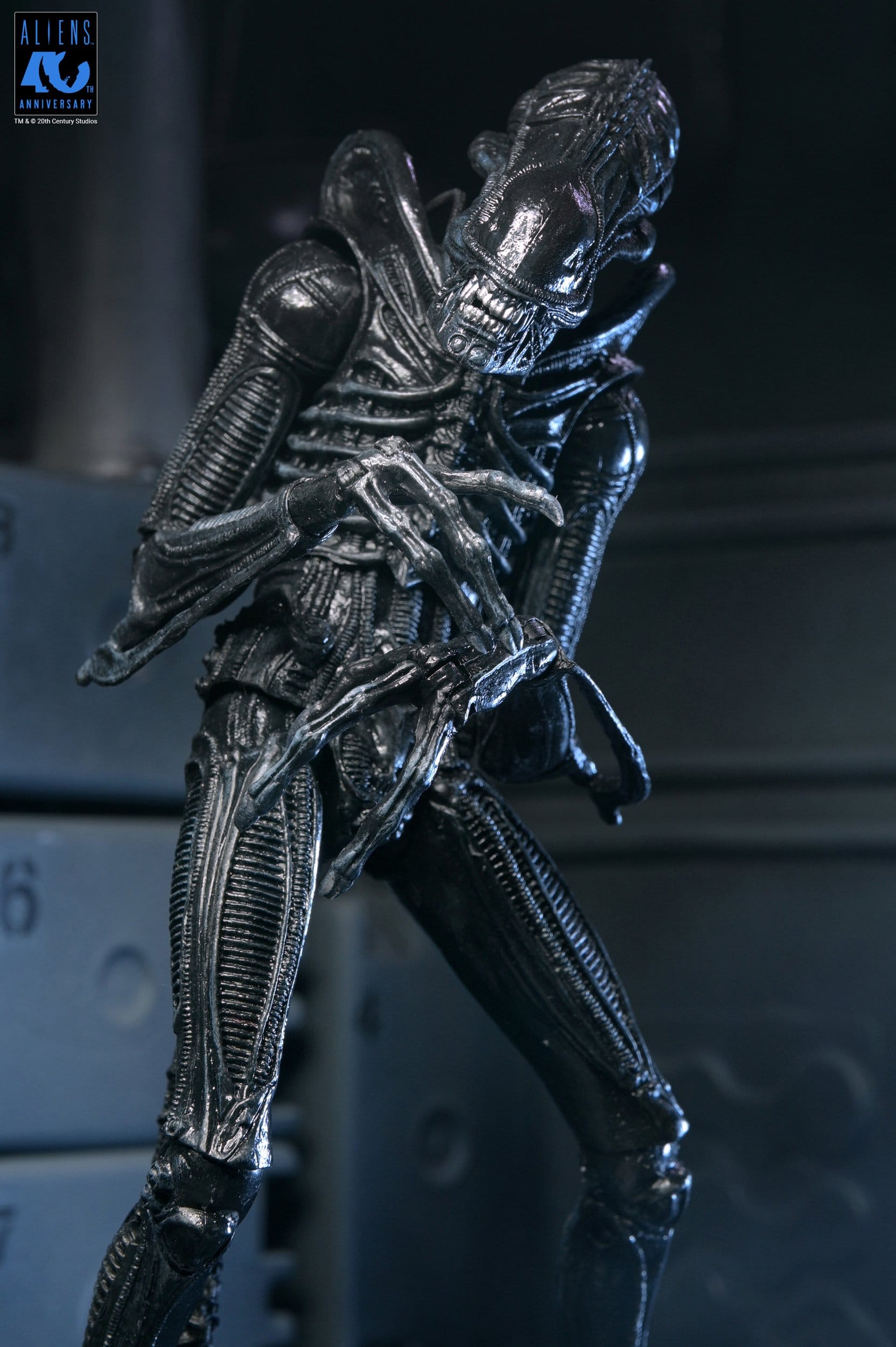 Xenomorph Warrior Black Ultimate figurine Aliens 1986 Neca 23 cm 634482517963 kingdom-figurine (8) Xenomorph Warrior Black Ultimate figurine Aliens 1986 Neca 23 cm 634482517963 kingdom-figurine (8)