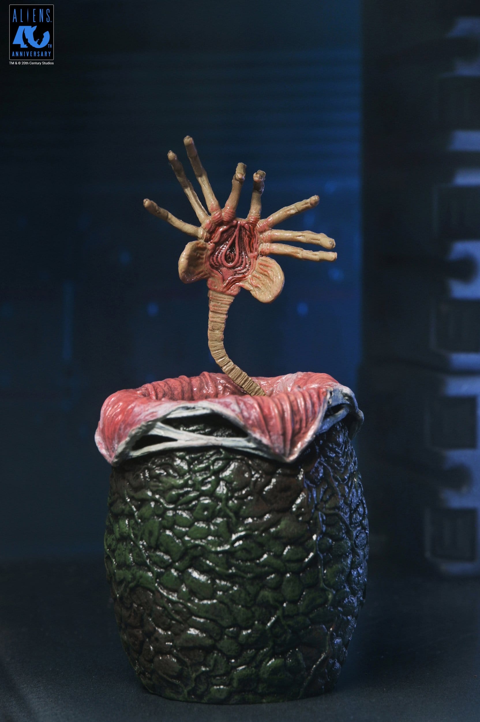 Xenomorph Warrior Black Ultimate figurine Aliens 1986 Neca 23 cm 634482517963 kingdom-figurine (9) Xenomorph Warrior Black Ultimate figurine Aliens 1986 Neca 23 cm 634482517963 kingdom-figurine (9)