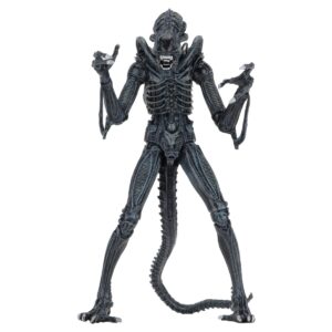 Xenomorph Warrior Blue Ultimate figurine Aliens 1986 Neca 23 cm 634482516478 kingdom-figurine (1) Xenomorph Warrior Blue Ultimate figurine Aliens 1986 Neca 23 cm 634482516478 kingdom-figurine (1)