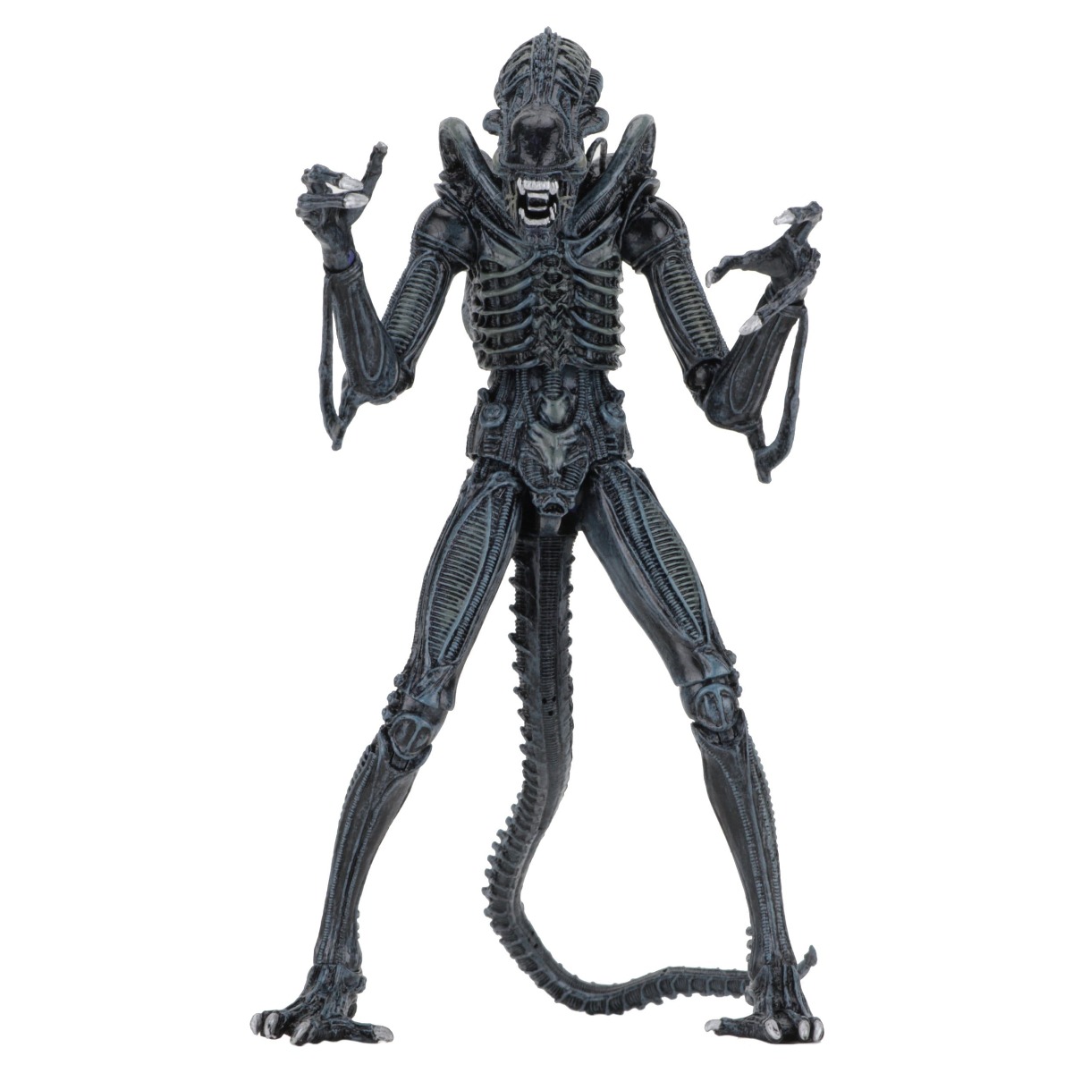 Xenomorph Warrior Blue Ultimate figurine Aliens 1986 Neca 23 cm 634482516478 kingdom-figurine (1) Xenomorph Warrior Blue Ultimate figurine Aliens 1986 Neca 23 cm 634482516478 kingdom-figurine (1)