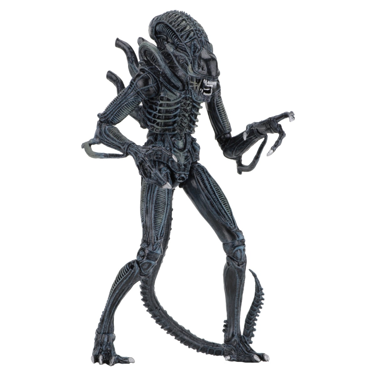 Xenomorph Warrior Blue Ultimate figurine Aliens 1986 Neca 23 cm 634482516478 kingdom-figurine (2) Xenomorph Warrior Blue Ultimate figurine Aliens 1986 Neca 23 cm 634482516478 kingdom-figurine (2)
