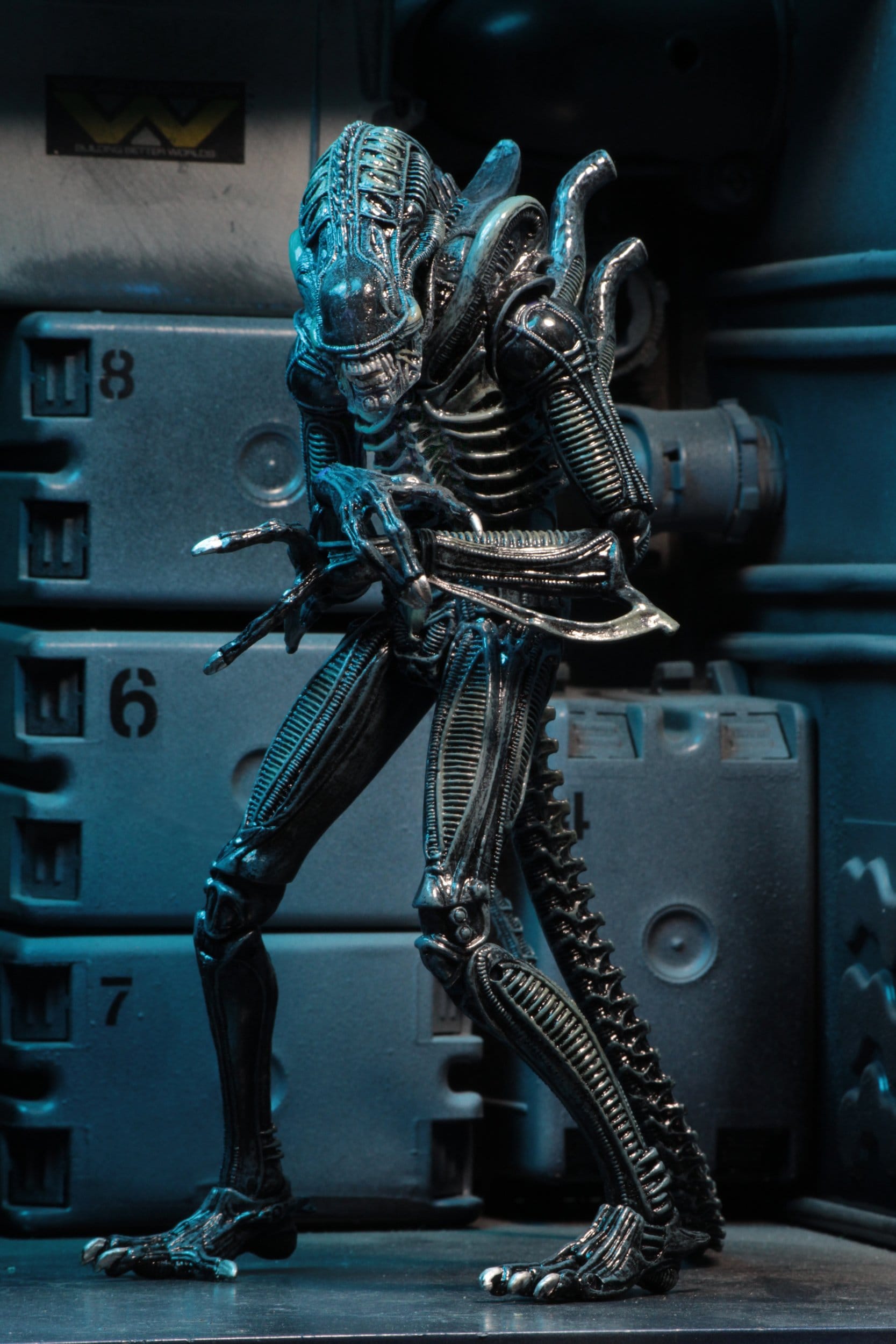 Xenomorph Warrior Blue Ultimate figurine Aliens 1986 Neca 23 cm 634482516478 kingdom-figurine (5) Xenomorph Warrior Blue Ultimate figurine Aliens 1986 Neca 23 cm 634482516478 kingdom-figurine (5)