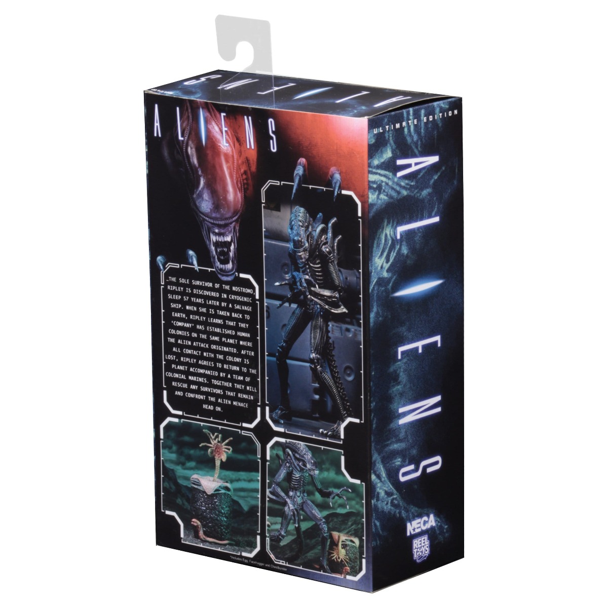 Xenomorph Warrior Blue Ultimate figurine Aliens 1986 Neca 23 cm 634482516478 kingdom-figurine (9) Xenomorph Warrior Blue Ultimate figurine Aliens 1986 Neca 23 cm 634482516478 kingdom-figurine (9)