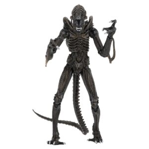 Xenomorph Warrior Brown Ultimate figurine Aliens Neca 23 cm 634482516836 kingdom-figurine (1) Xenomorph Warrior Brown Ultimate figurine Aliens Neca 23 cm 634482516836 kingdom-figurine (1)