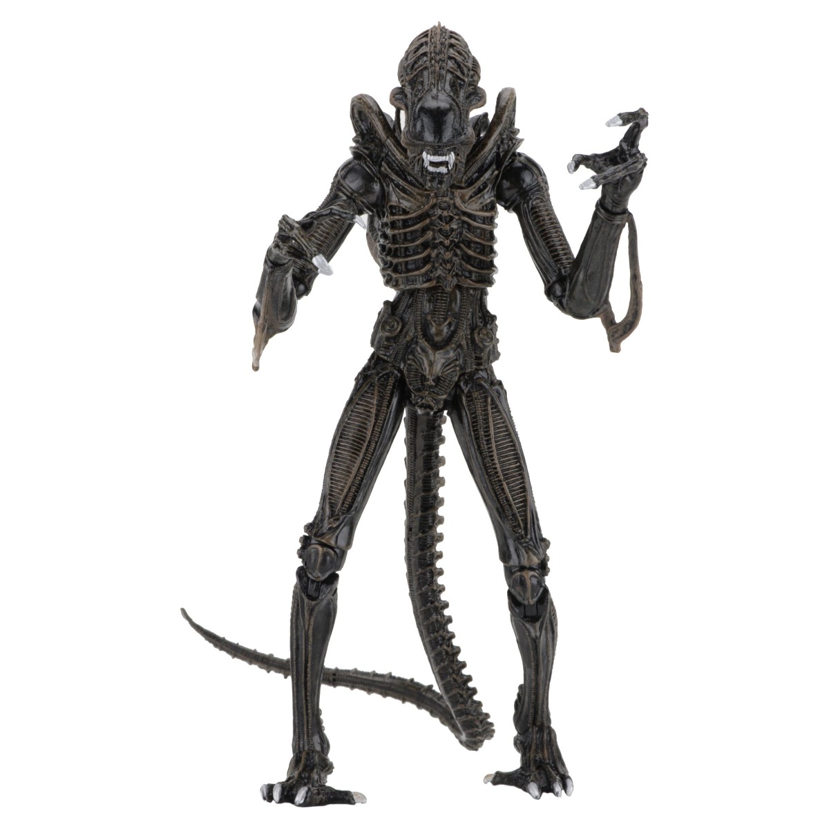 Xenomorph Warrior Brown Ultimate figurine Aliens Neca 23 cm 634482516836 kingdom-figurine (1) Xenomorph Warrior Brown Ultimate figurine Aliens Neca 23 cm 634482516836 kingdom-figurine (1)