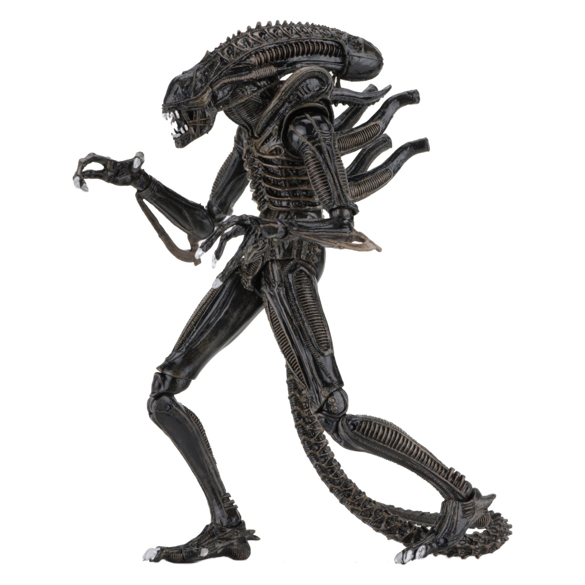 Xenomorph Warrior Brown Ultimate figurine Aliens Neca 23 cm 634482516836 kingdom-figurine (2) Xenomorph Warrior Brown Ultimate figurine Aliens Neca 23 cm 634482516836 kingdom-figurine (2)