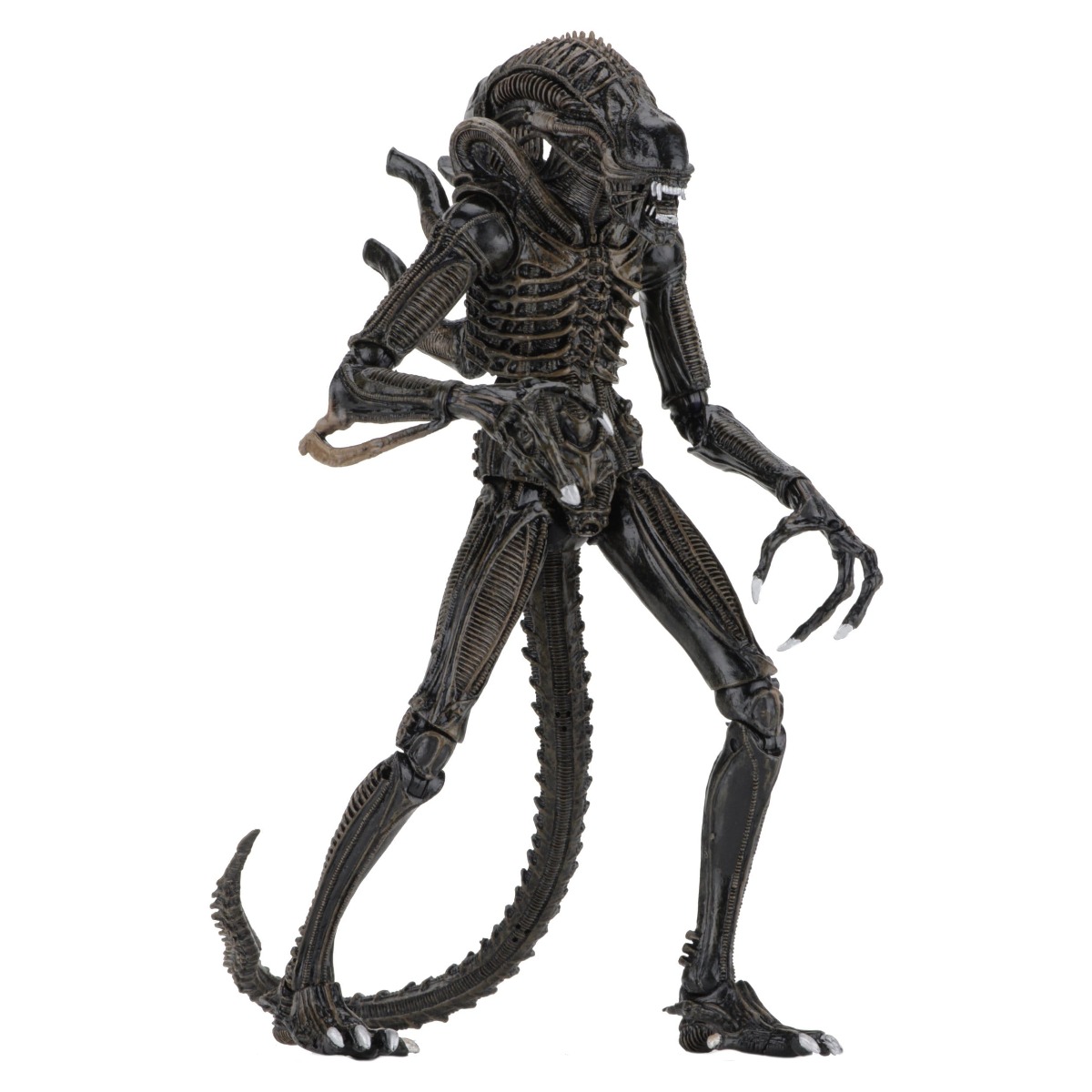 Xenomorph Warrior Brown Ultimate figurine Aliens Neca 23 cm 634482516836 kingdom-figurine (3) Xenomorph Warrior Brown Ultimate figurine Aliens Neca 23 cm 634482516836 kingdom-figurine (3)