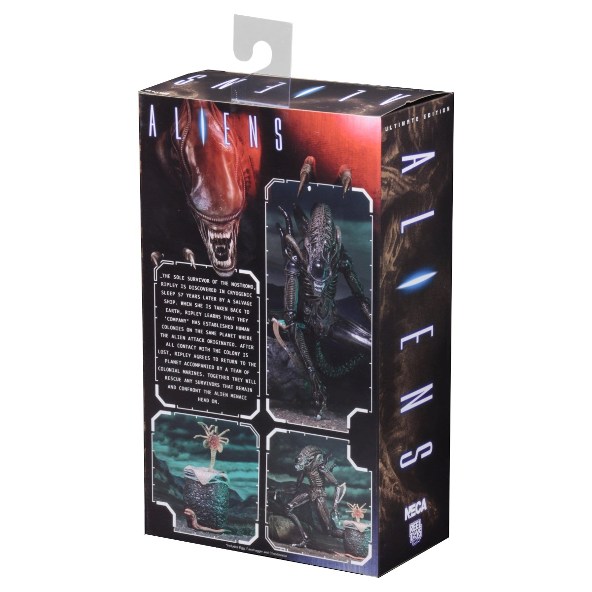 Xenomorph Warrior Brown Ultimate figurine Aliens Neca 23 cm 634482516836 kingdom-figurine (9) Xenomorph Warrior Brown Ultimate figurine Aliens Neca 23 cm 634482516836 kingdom-figurine (9)