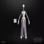 Taun We figurine Star Wars Episode II Black Series Hasbro 15 cm 5010996366009 kingdom-figurine (2) Taun We figurine Star Wars Episode II Black Series Hasbro 15 cm 5010996366009 kingdom-figurine (2)